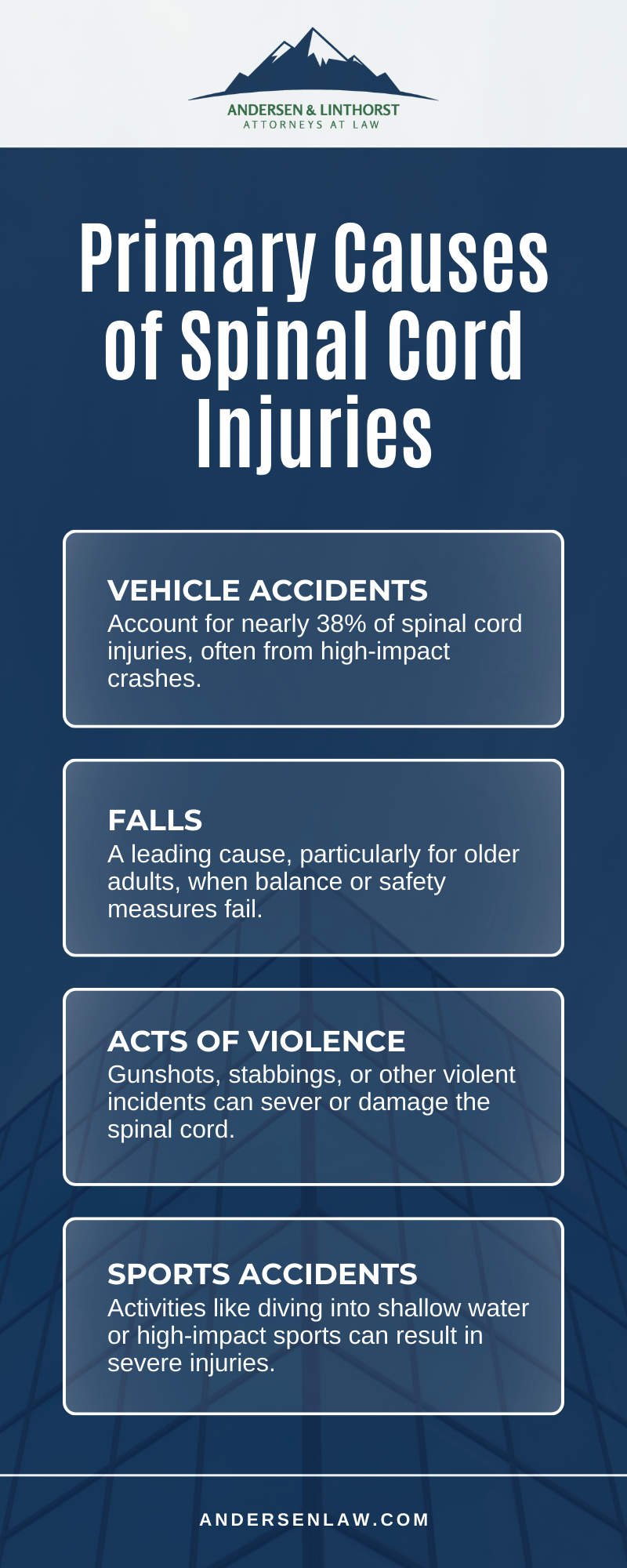 Primary Causes of Spinal Cord Injuries Infographic